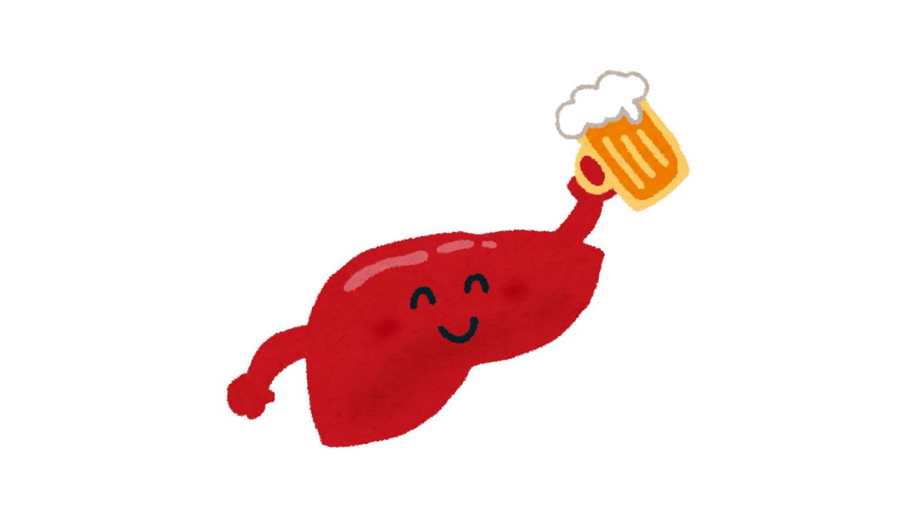 サムネ-酒を嗜む肝臓