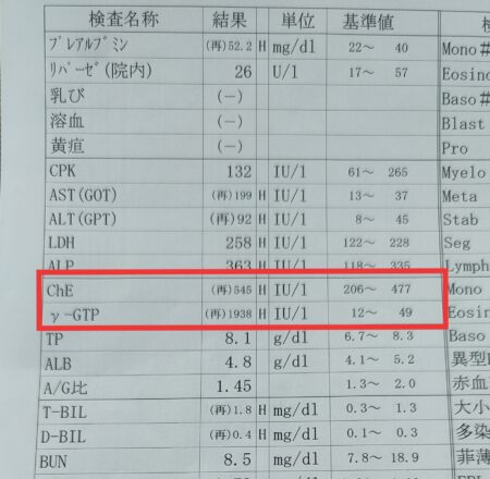 健康診断のひどい結果