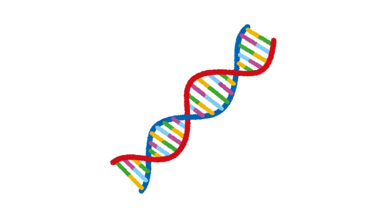 サムネイル DNA